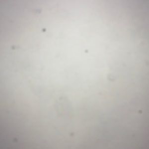 Meet your Posher, Aaron